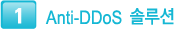 Anti-DDoS 솔루션